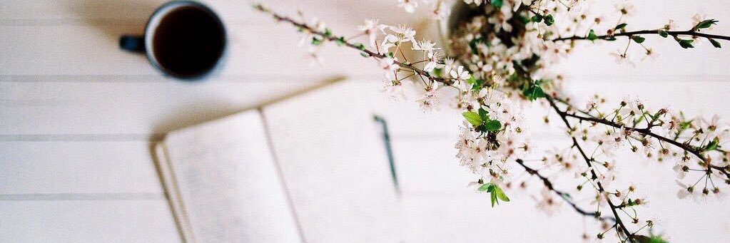 Nouf_H11's profile banner image