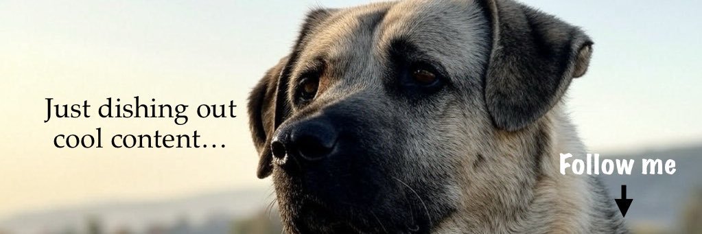 Samuel Of Arsenal banner