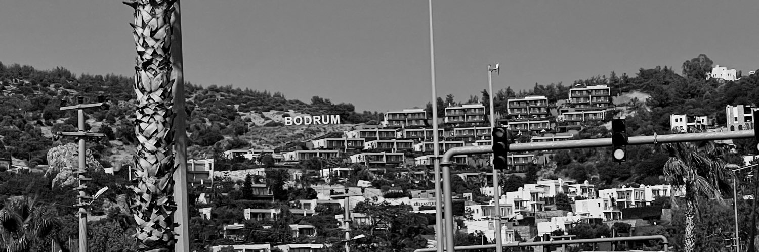 LBudastour's profile banner image