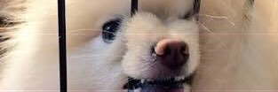 plOgOlq's profile banner image