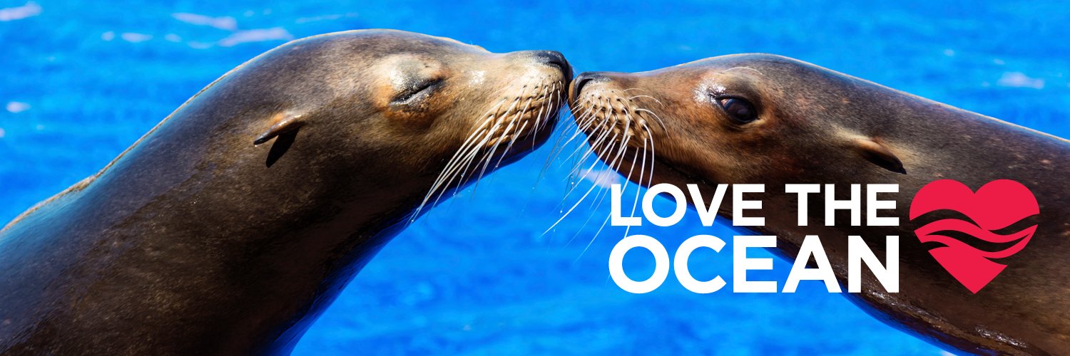 Sea Change Project banner