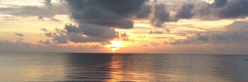 AHF0576's profile banner image