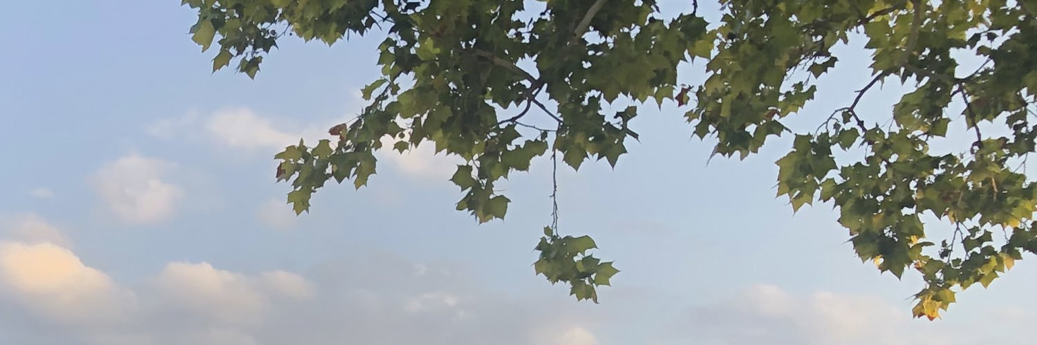 aperez246's profile banner image
