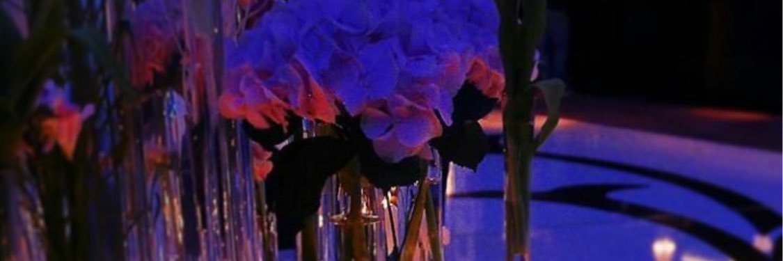 Ro0o7123Www's profile banner image