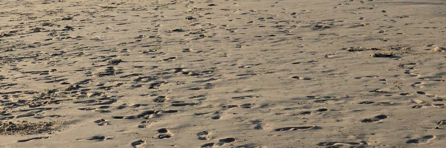 TBotteri's profile banner image