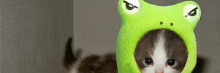 Penguin77x's profile banner image