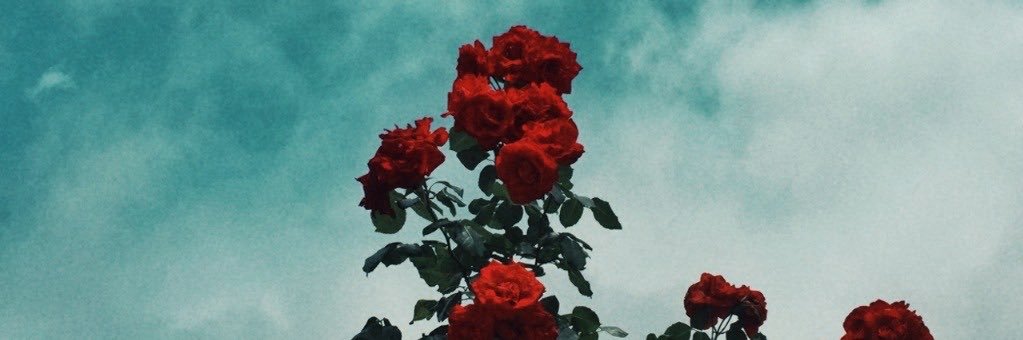 cjjpagan's profile banner image