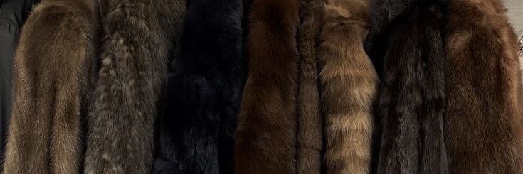 ؘ banner
