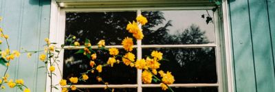 PASSA O IG banner