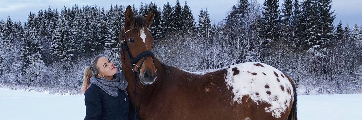 MMartinussen's profile banner image