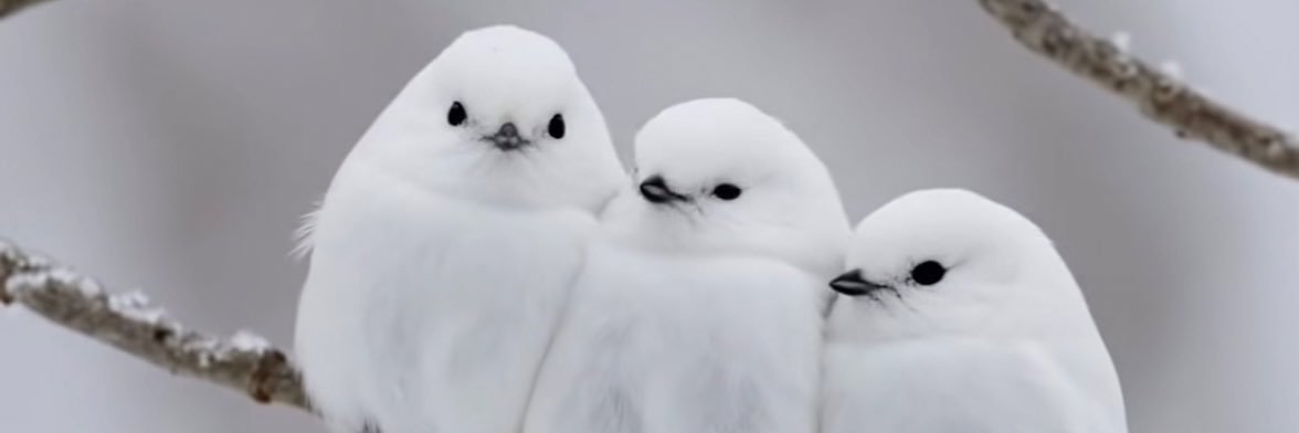 AMANERIO718's profile banner image
