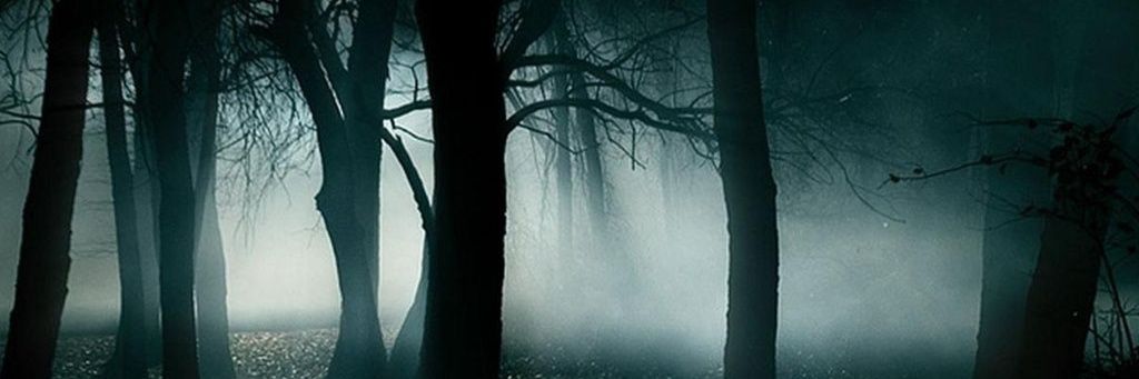 xdarkstarx47's profile banner image