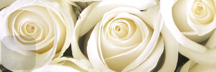 LowiseAllen's profile banner image