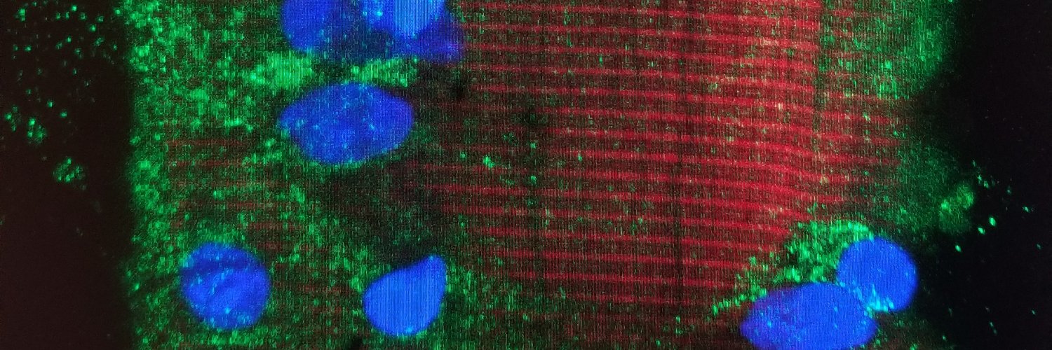 Muscle Physiology Lab banner