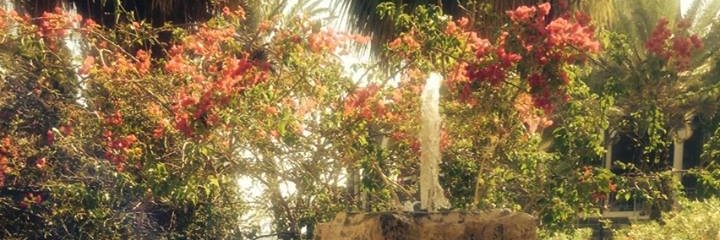 MadeleineTeahan's profile banner image
