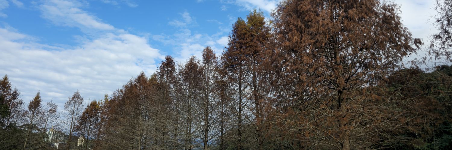 long09215's profile banner image