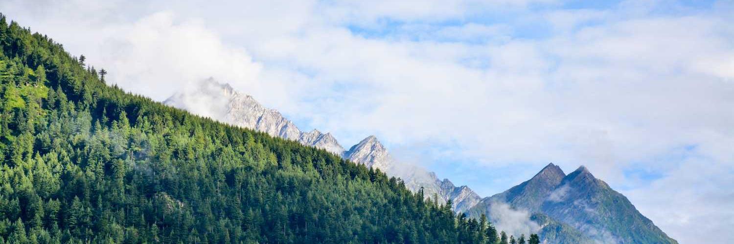 Eat Out Liverpool banner