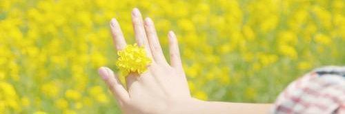 Mary__AA's profile banner image