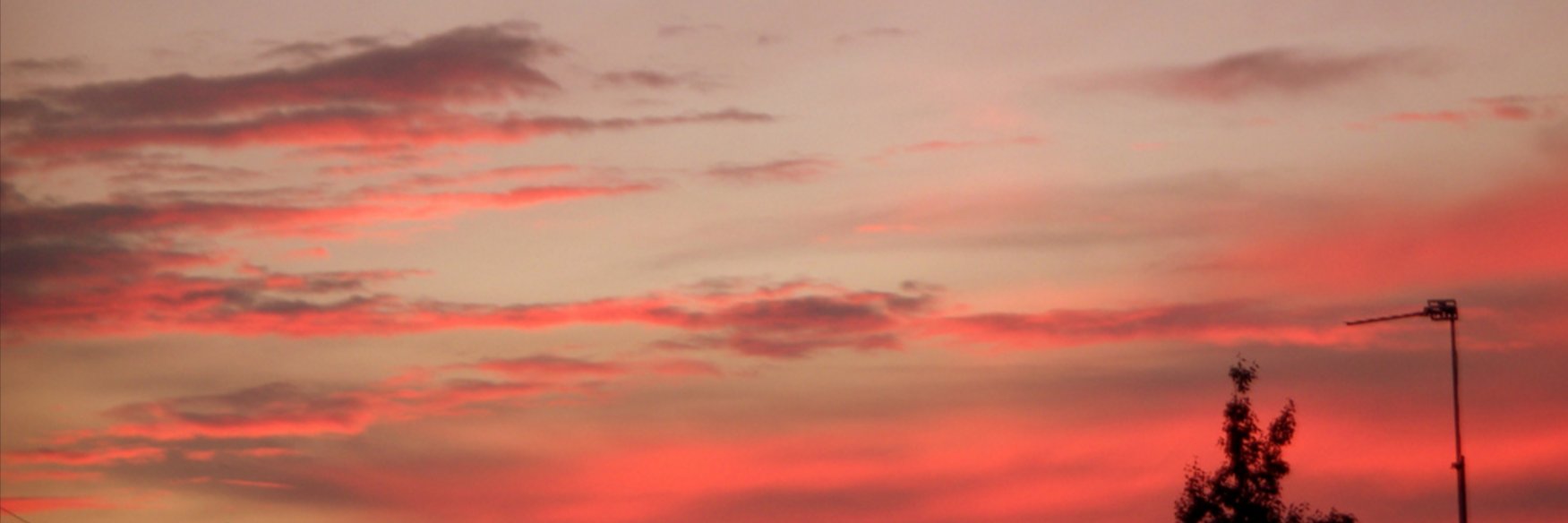 honoelis's profile banner image