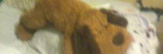 VickyKar123's profile banner image