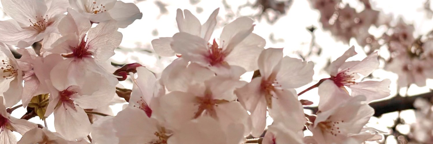 22mansaku's profile banner image