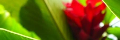 bloodrush192's profile banner image