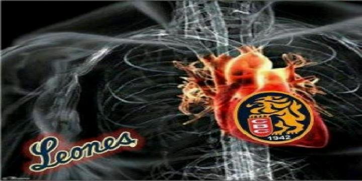caracasmadrid's profile banner image