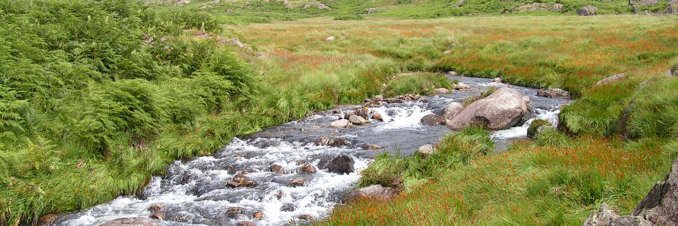 radioecology's profile banner image