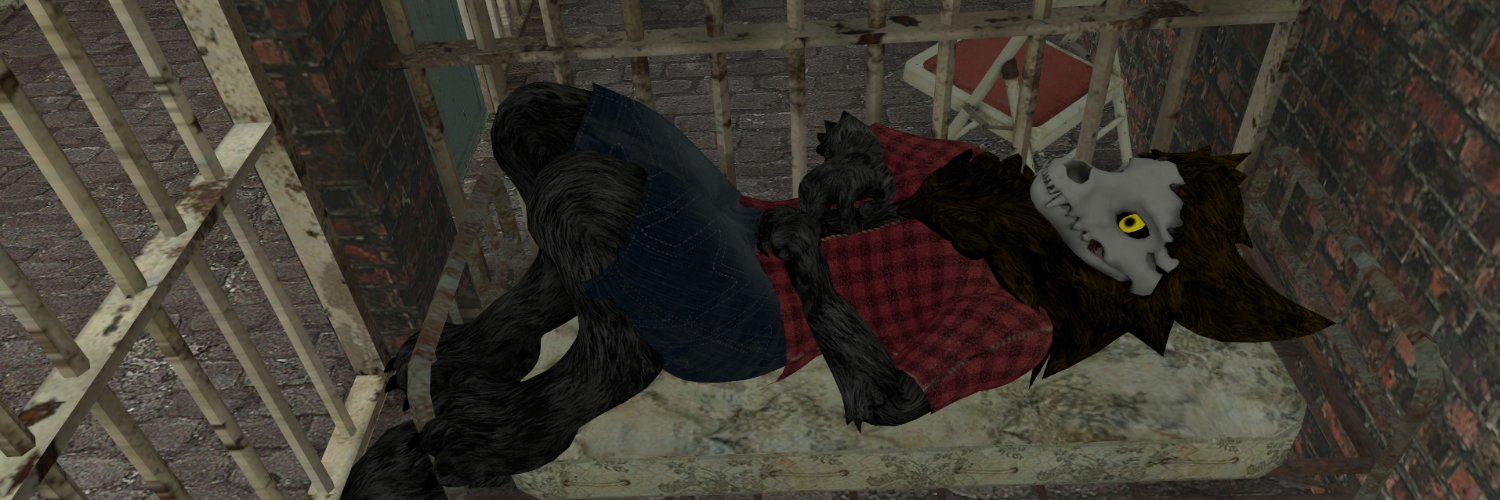 dee_coyote's profile banner image