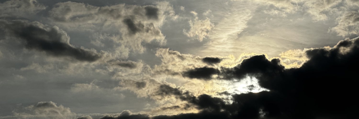 Bozz banner