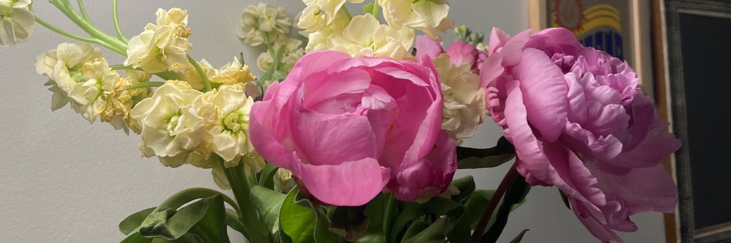JaneGallagherYo's profile banner image
