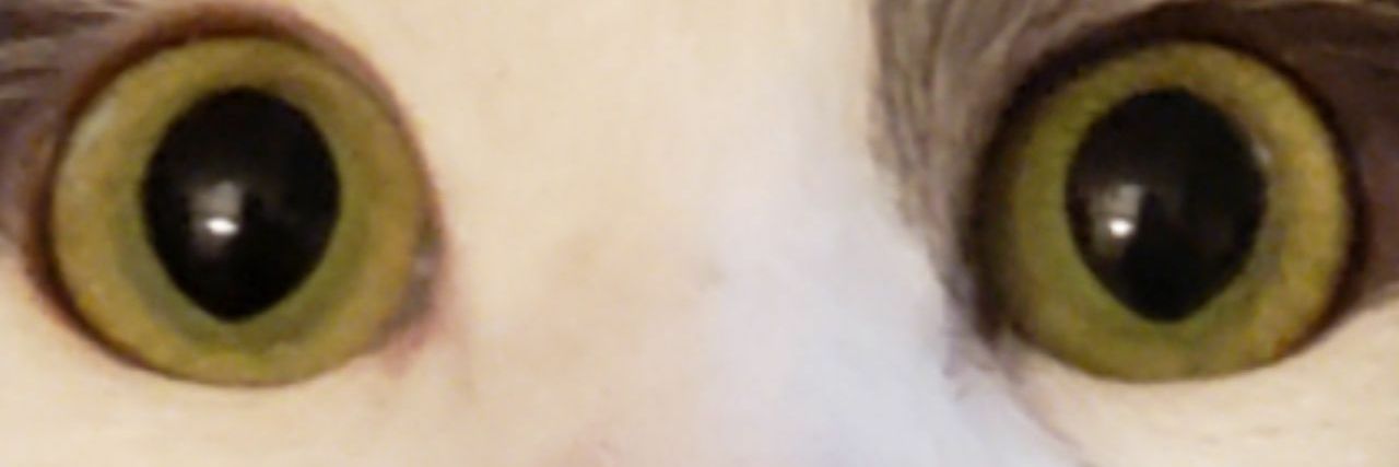 LuxSnowLeopard's profile banner image