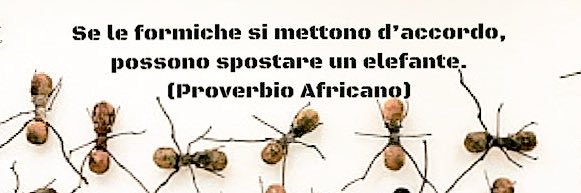 robedema1's profile banner image