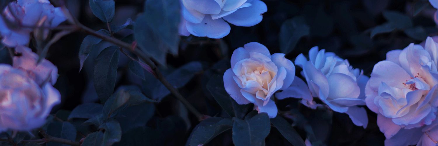 spareside's profile banner image