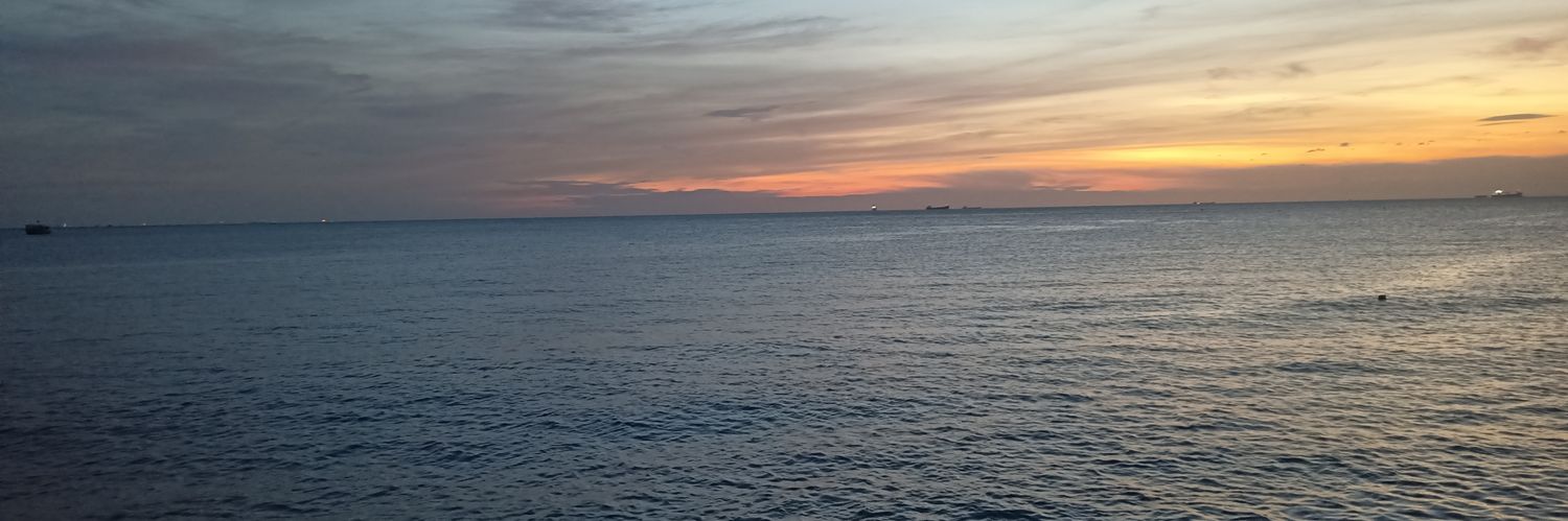minhbaop's profile banner image