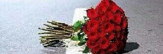 ll050020's profile banner image