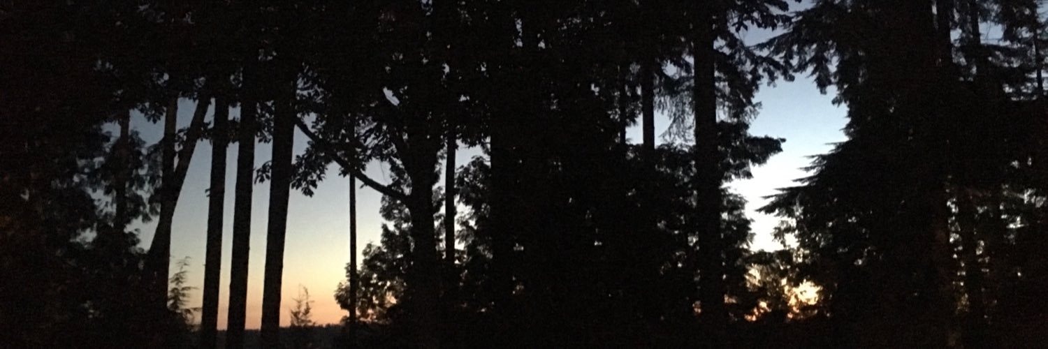 melancholy_fish's profile banner image