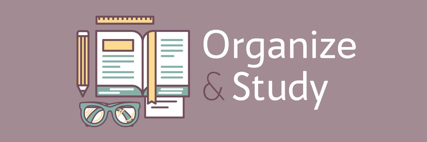 organizenstudy's profile banner image