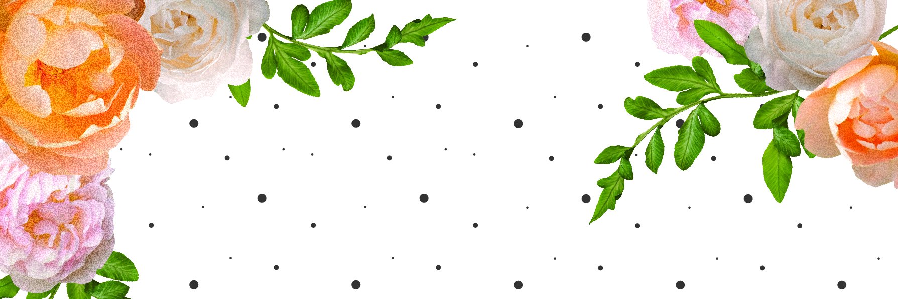 Gray Starling banner