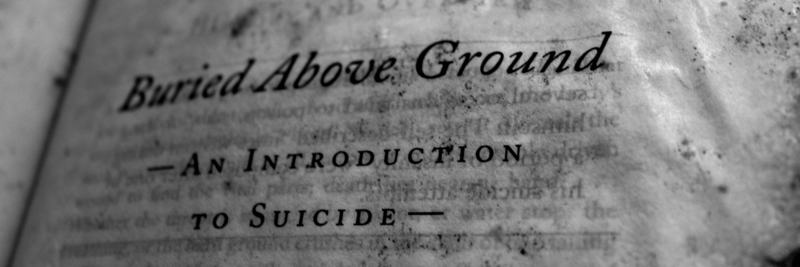 _lbaldwin's profile banner image