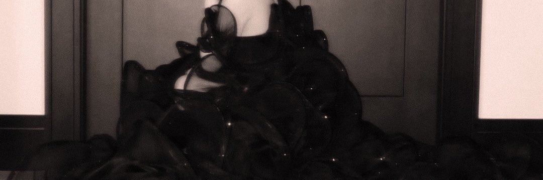 anastede's profile banner image