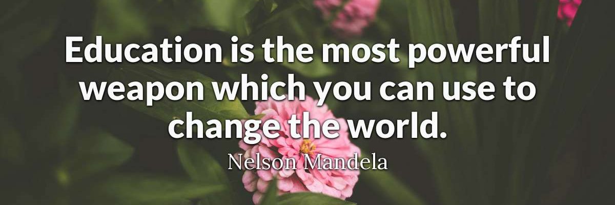 Vice President (Education) @ Solent SU banner