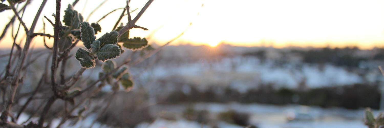 DarweesHasan's profile banner image