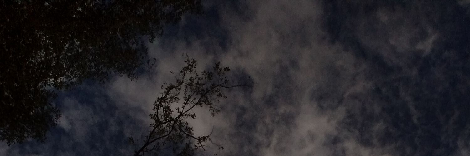 freesiaa0's profile banner image