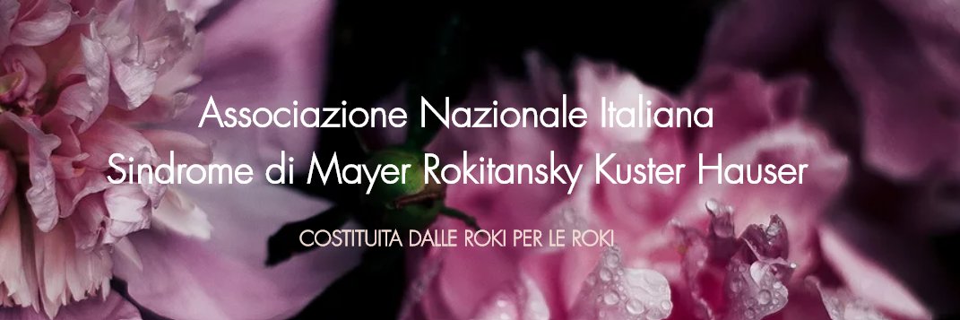 GuerriereRoki's profile banner image
