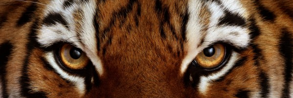 PRRADA_'s profile banner image