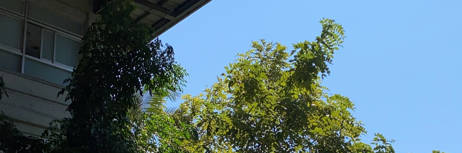 civilMirobert's profile banner image