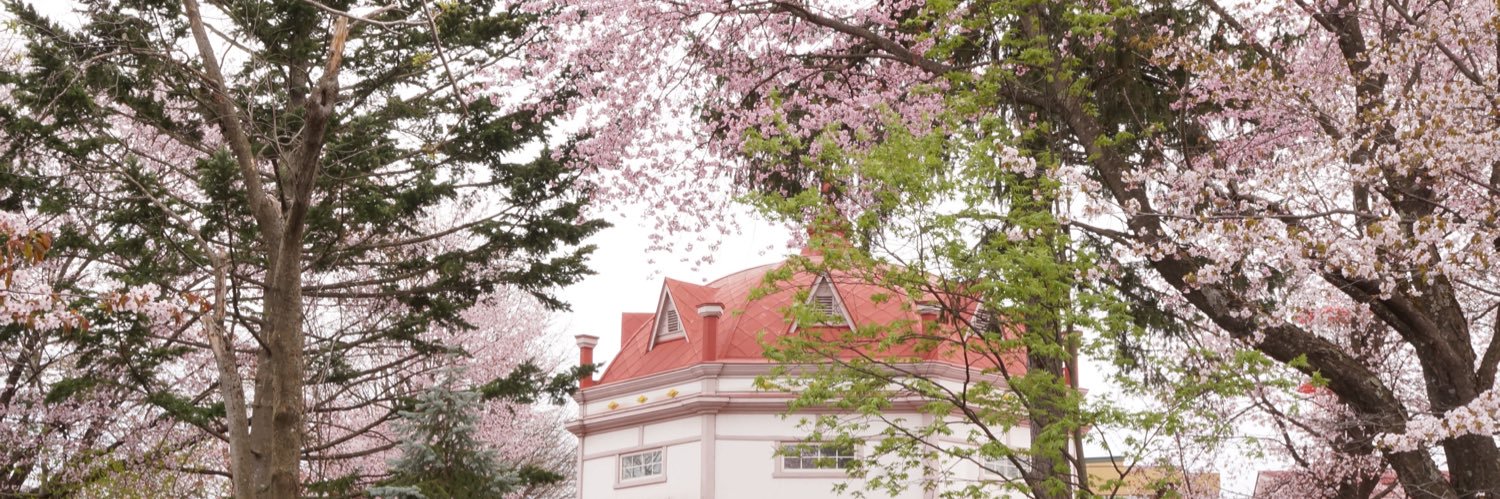 antsuko's profile banner image