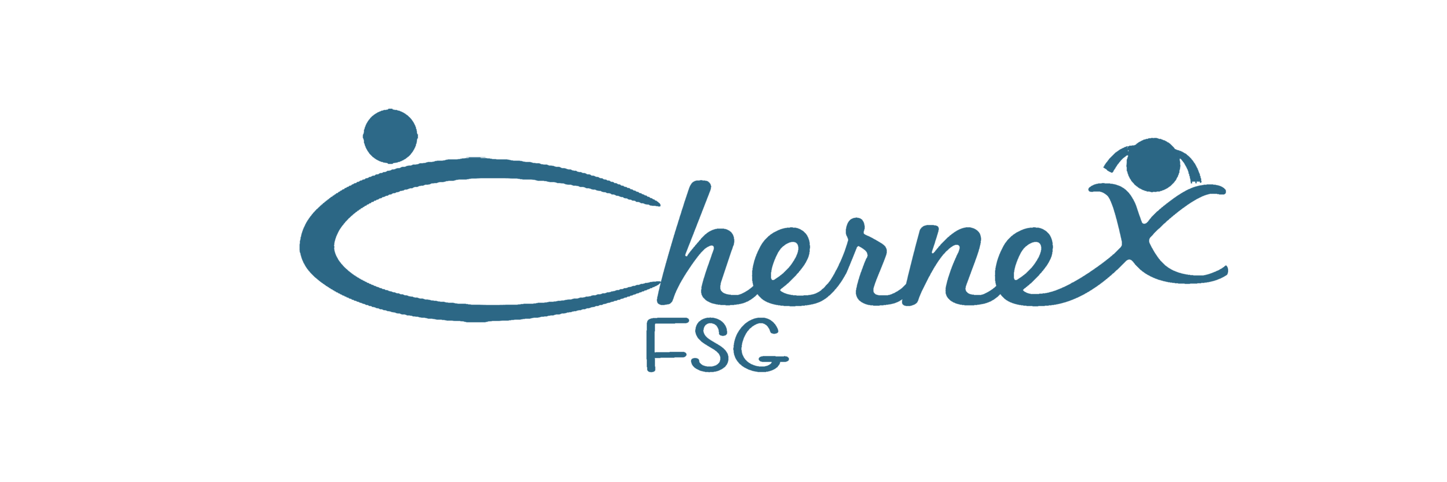 fsgchernex's profile banner image
