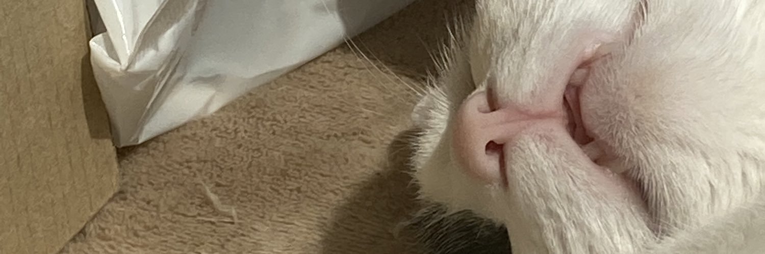 new_ebiten's profile banner image